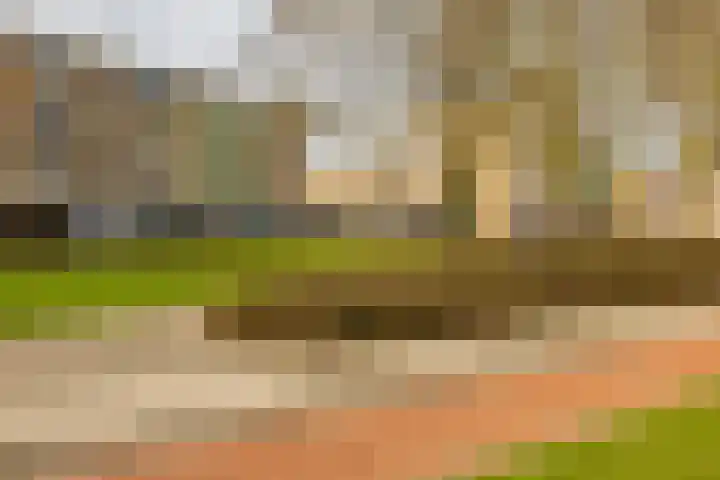 Florakade 72 Groningen thumbnail 5