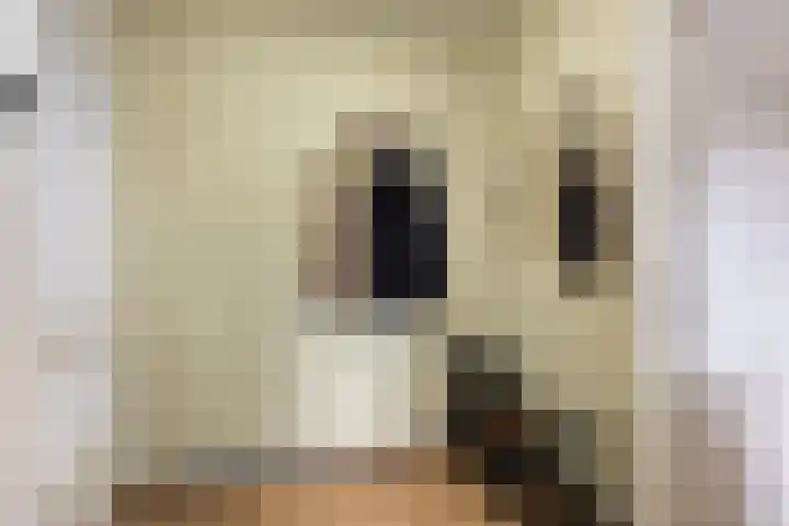 Florakade 78 Groningen thumbnail 13