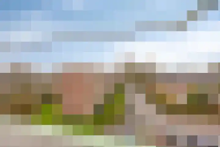 Florakade 78 Groningen thumbnail 30