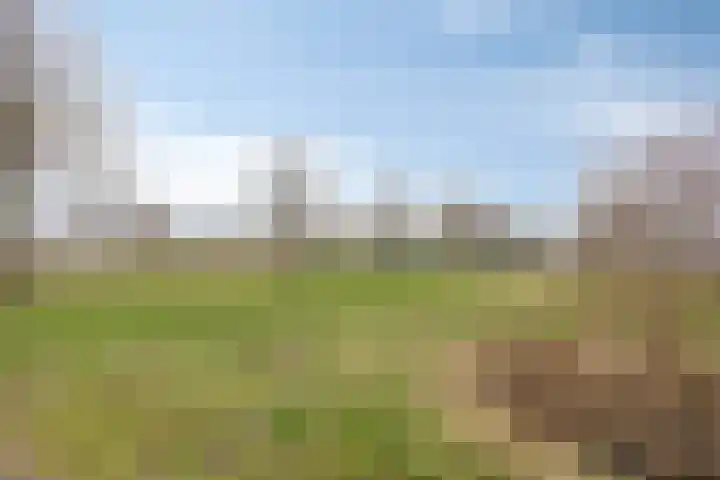 Florakade 78 Groningen thumbnail 37