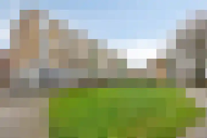Florakade 78 Groningen thumbnail 8