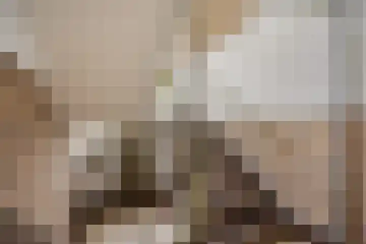 Florakade 78 Groningen thumbnail 9