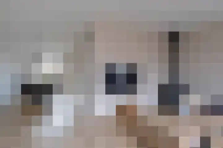 Floralaan 1 Bovensmilde thumbnail 5