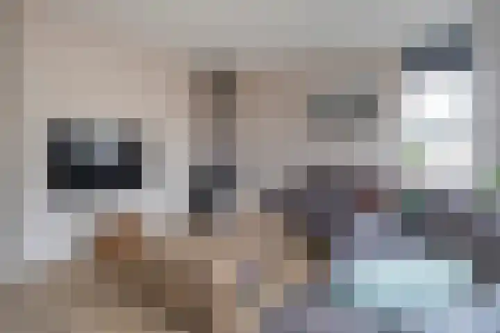 Floralaan 1 Bovensmilde thumbnail 6