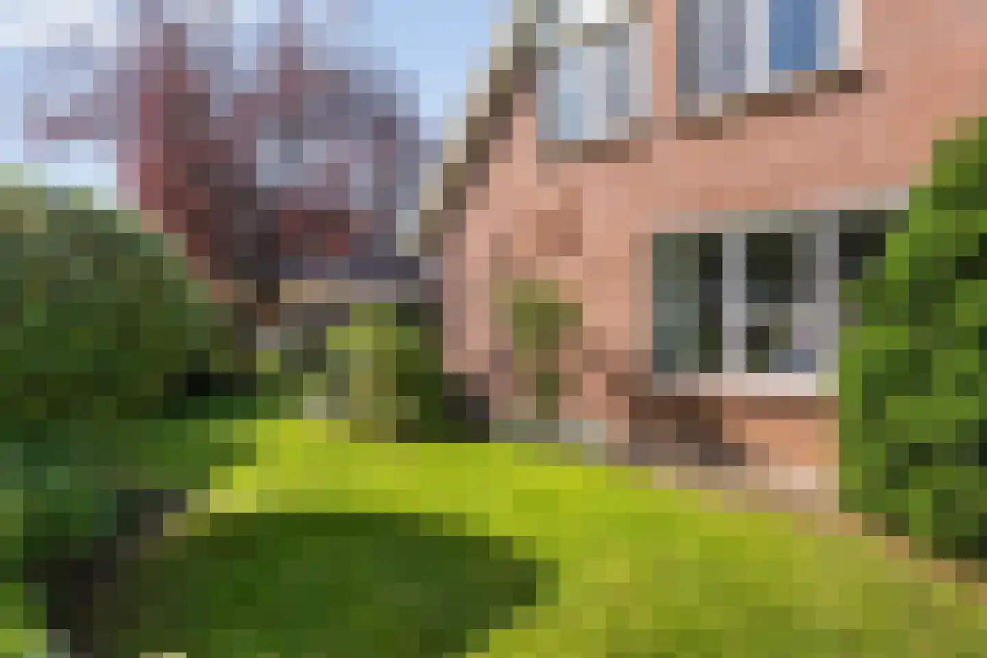 Floralaan 119 Hardenberg thumbnail 12