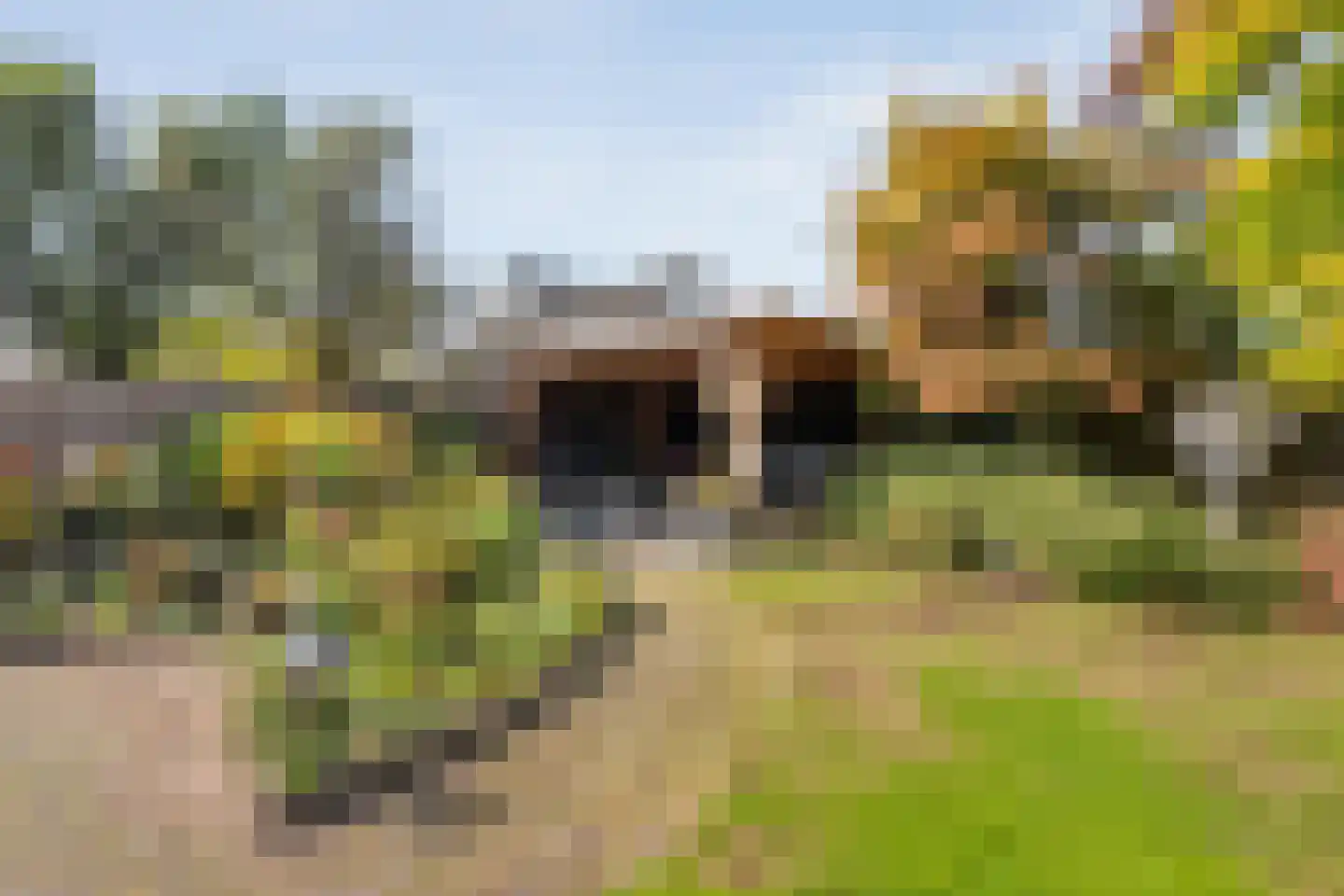 Floralaan 119 Hardenberg thumbnail 43