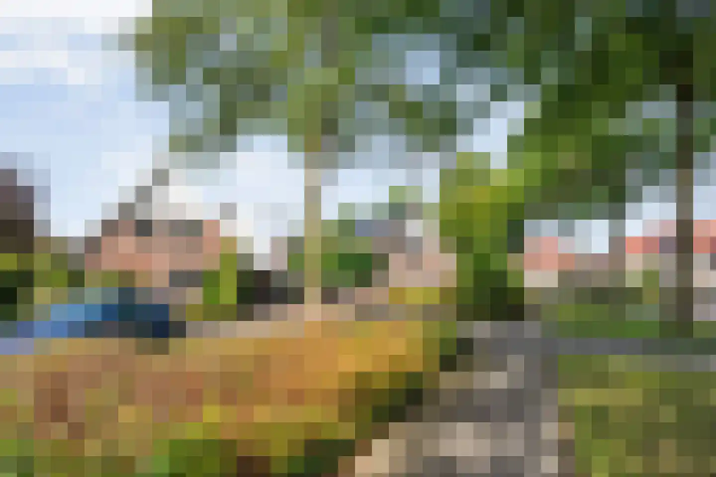 Floralaan 119 Hardenberg thumbnail 8