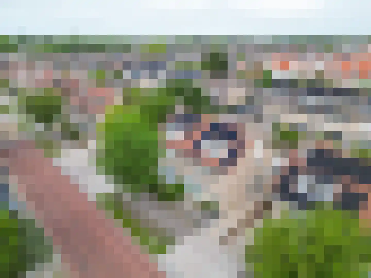 Floralaan 12 Rijnsburg thumbnail 37