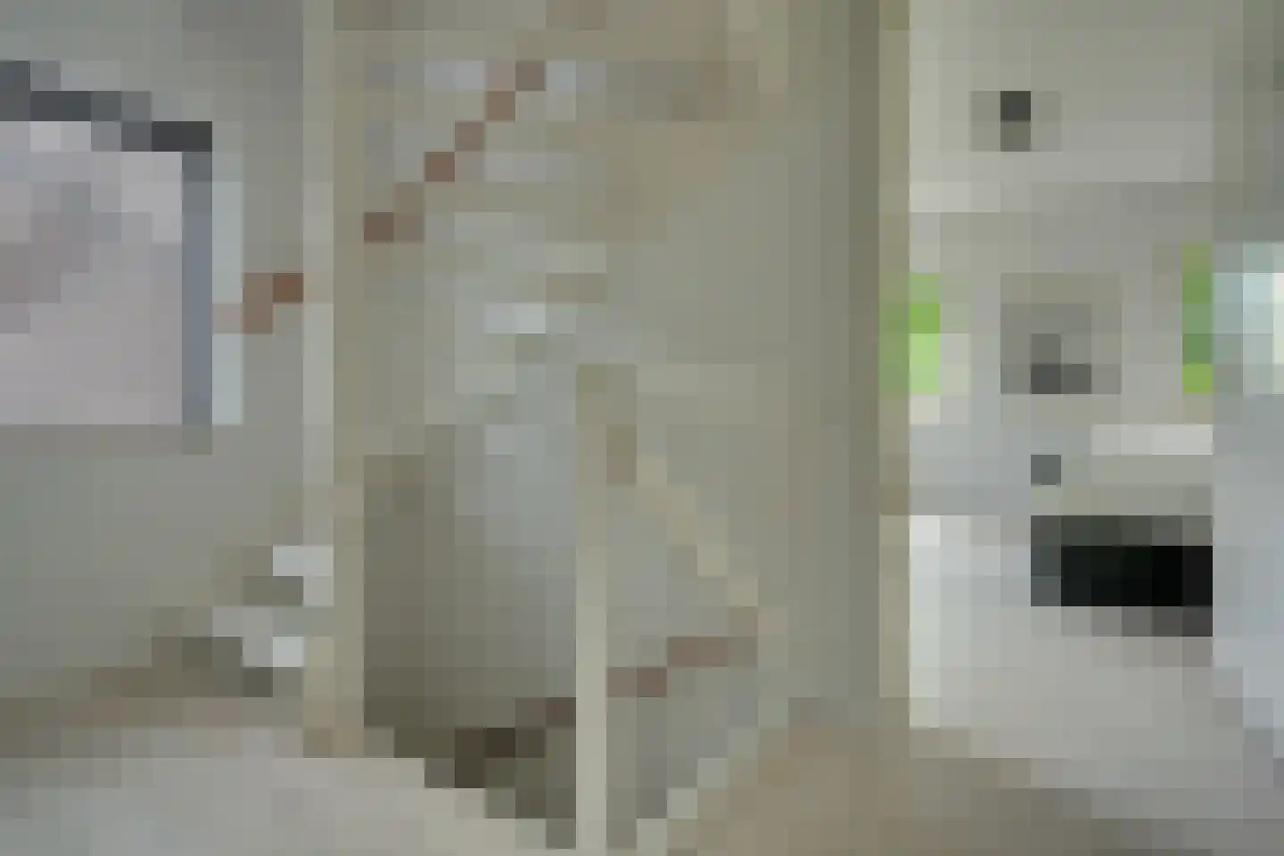 Floralaan 13 Bovensmilde thumbnail 14