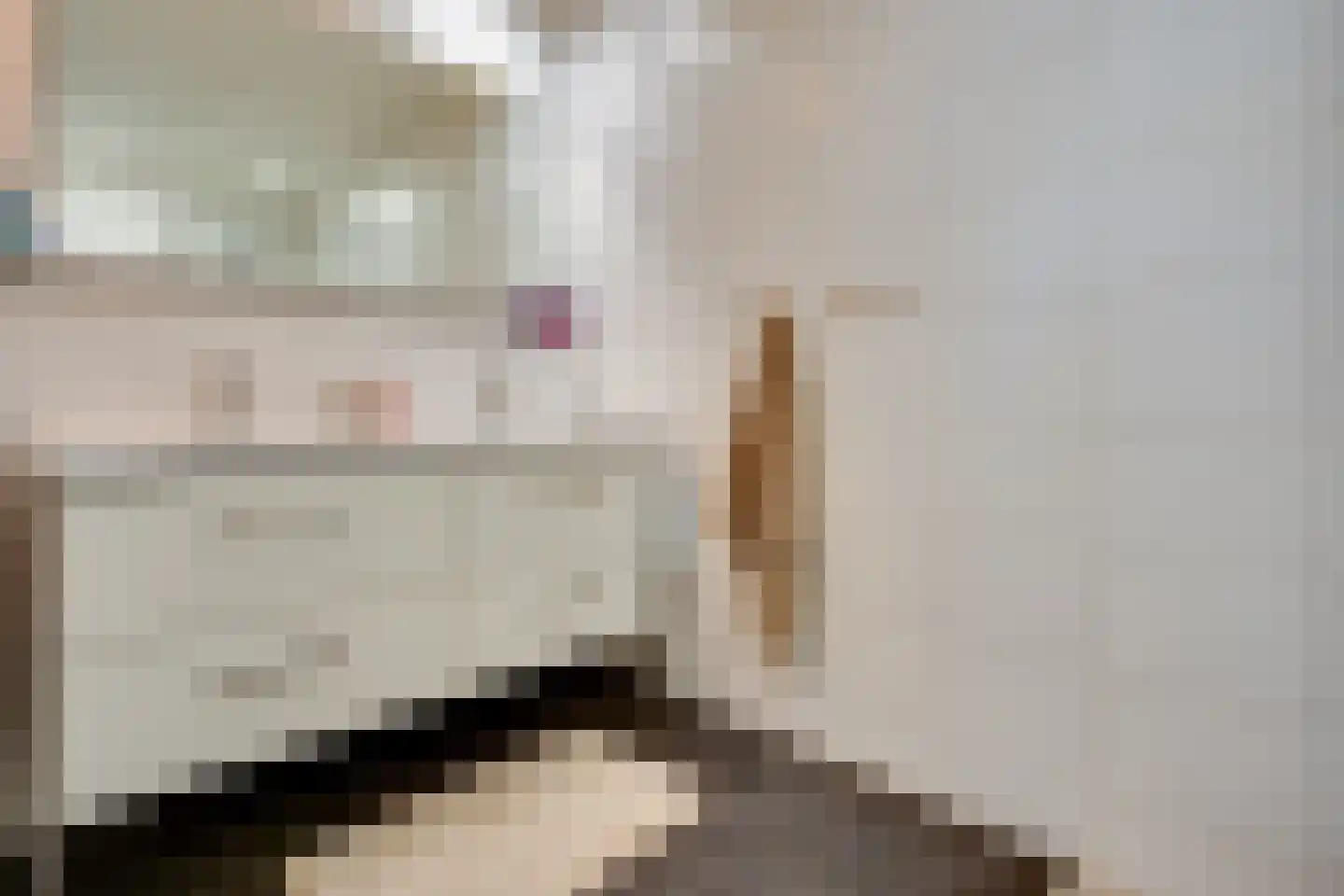 Floralaan 13 Bovensmilde thumbnail 20
