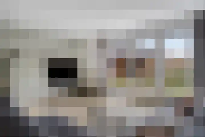 Floralaan 13 Elst thumbnail 14