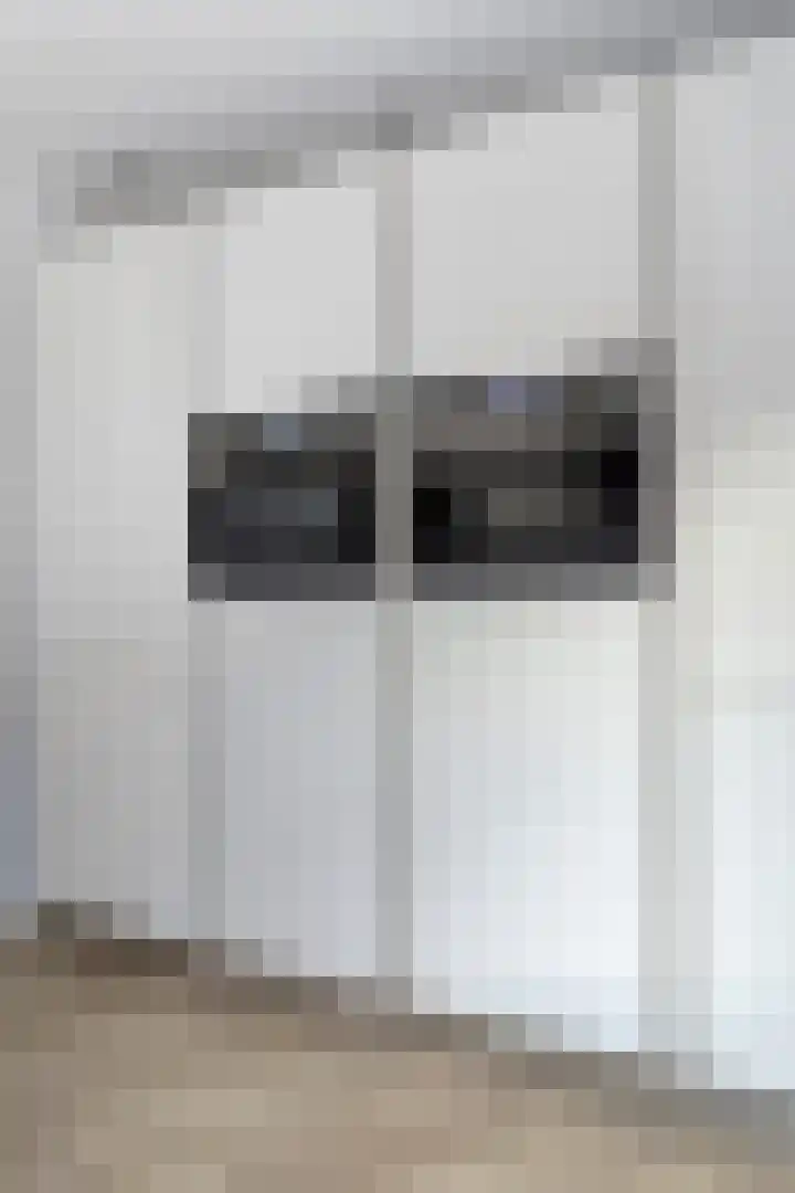 Floralaan 13 Elst thumbnail 16