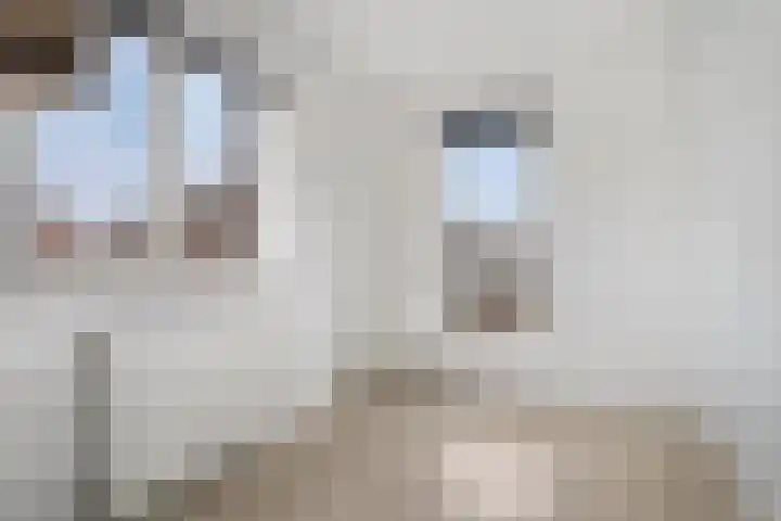 Floralaan 13 Elst thumbnail 18