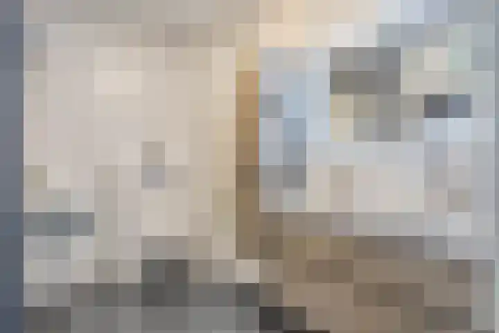 Floralaan 13 Elst thumbnail 21