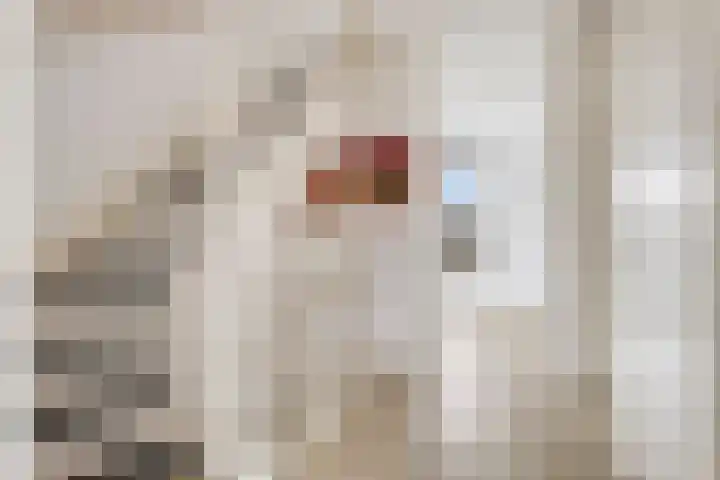 Floralaan 13 Elst thumbnail 27