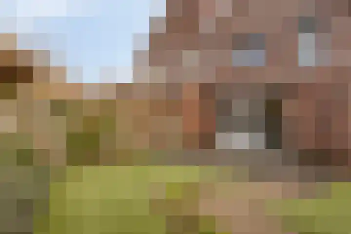 Floralaan 13 Elst thumbnail 35