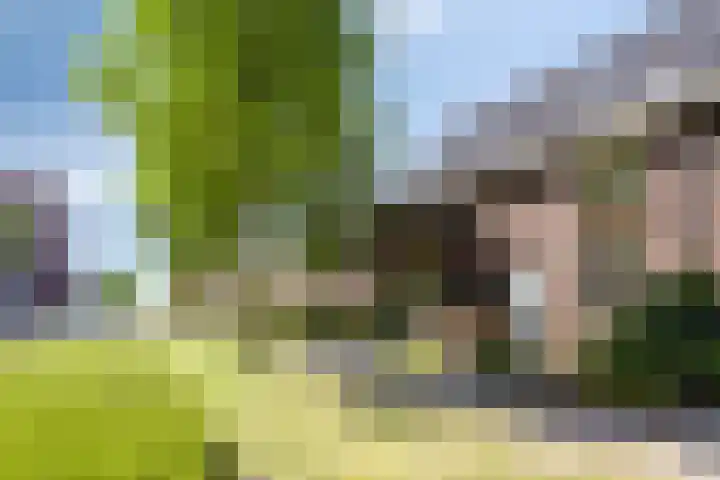 Floralaan 13 Pijnacker