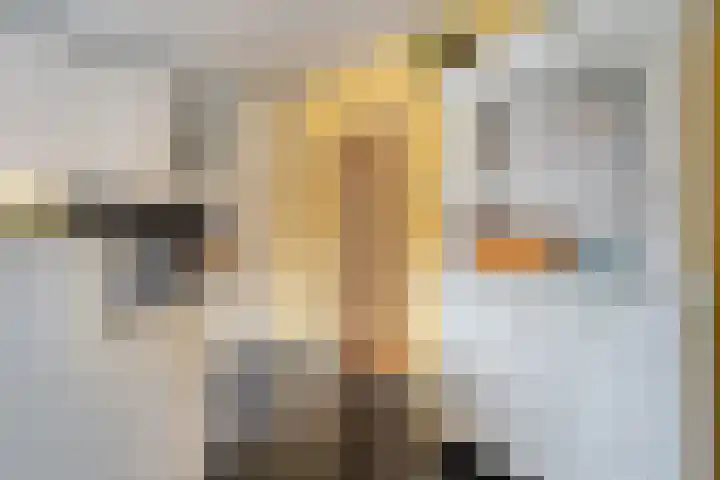 Floralaan 130 Hardenberg thumbnail 19
