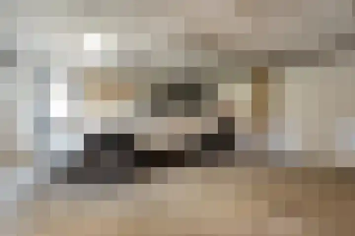 Floralaan 130 Hardenberg thumbnail 35