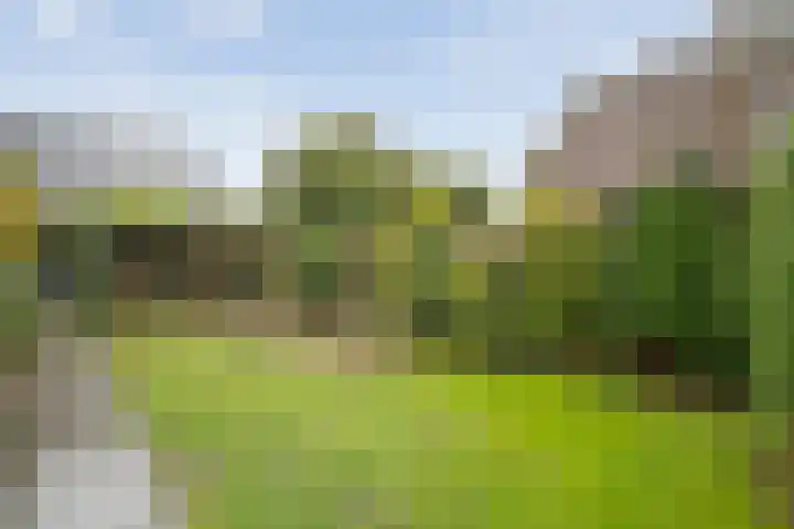 Floralaan 130 Hardenberg thumbnail 39