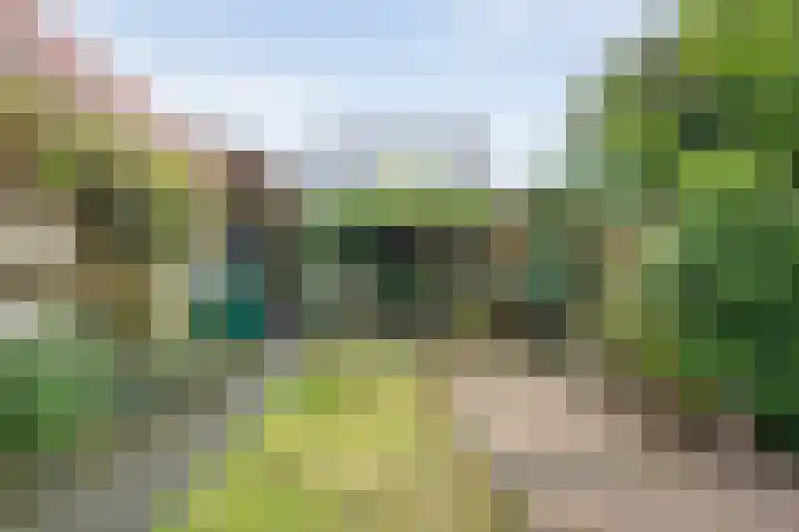 Floralaan 130 Hardenberg thumbnail 42