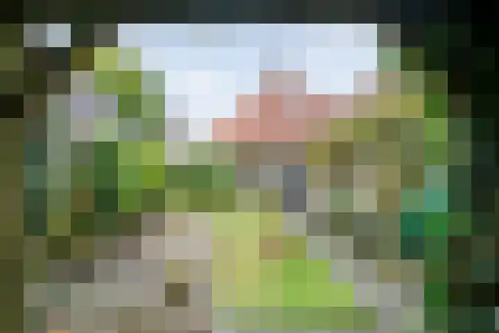 Floralaan 130 Hardenberg thumbnail 43