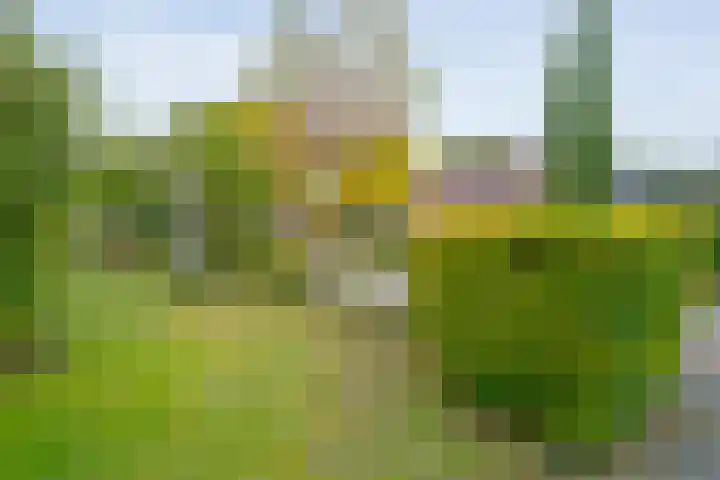 Floralaan 130 Hardenberg thumbnail 50