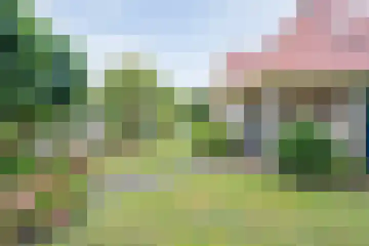 Floralaan 130 Hardenberg thumbnail 6