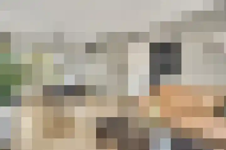 Floralaan 14 Maarheeze thumbnail 14
