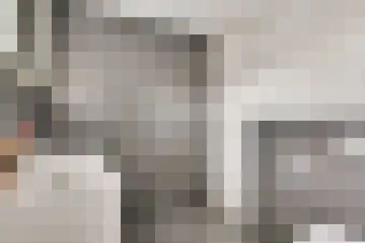 Floralaan 14 Maarheeze thumbnail 22