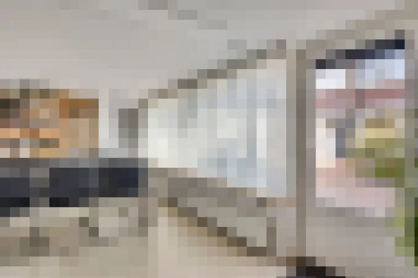 Floralaan 14 Maarheeze thumbnail 28