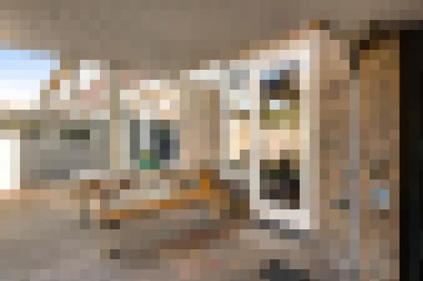 Floralaan 14 Maarheeze thumbnail 30