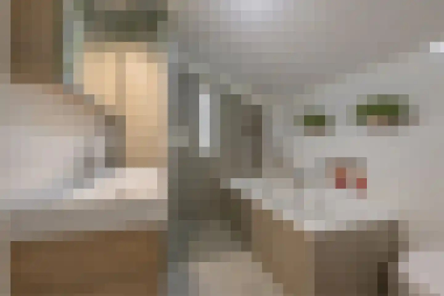 Floralaan 14 Veenendaal thumbnail 4