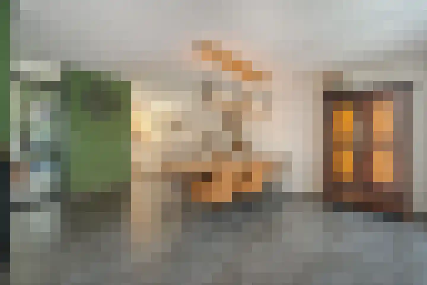 Floralaan 148 Hardenberg thumbnail 11
