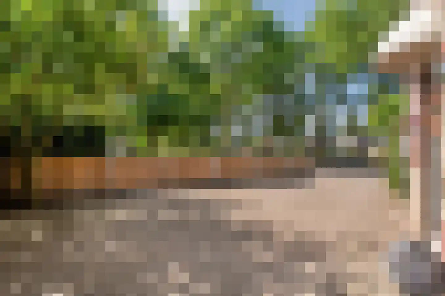 Floralaan 148 Hardenberg thumbnail 4