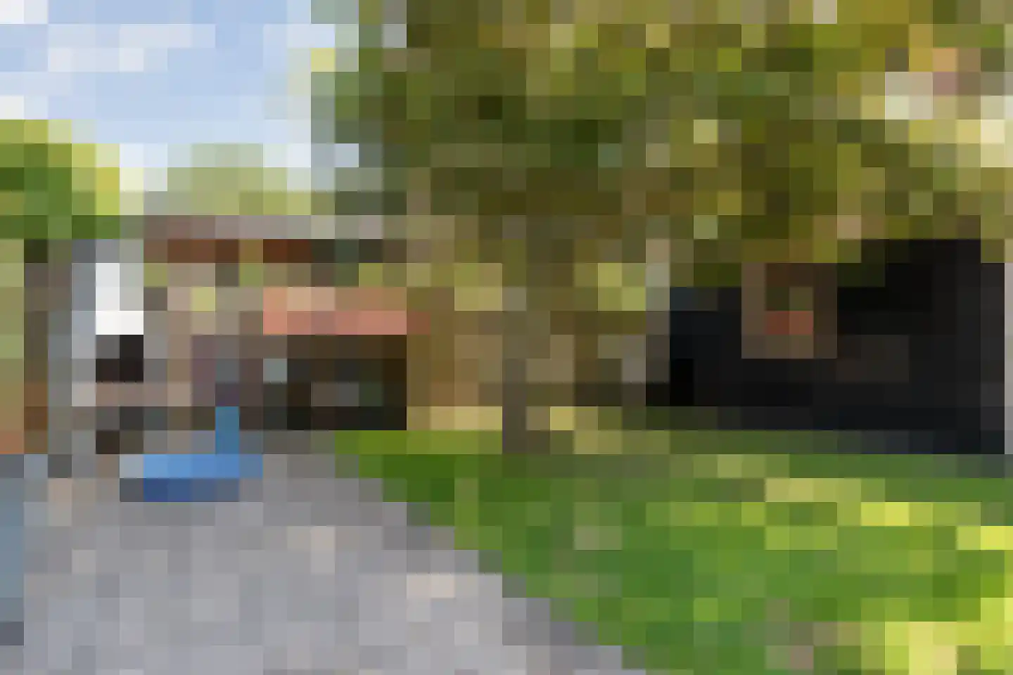 Floralaan 148 Hardenberg thumbnail 43