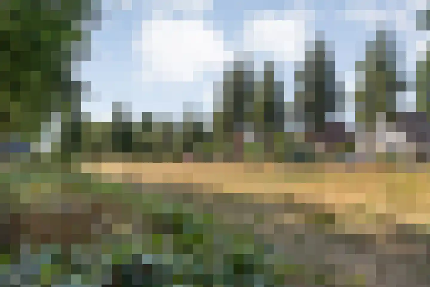 Floralaan 148 Hardenberg thumbnail 6