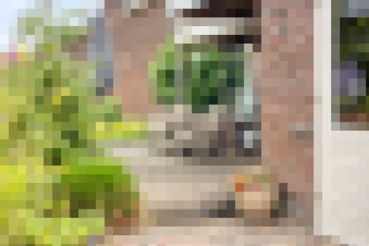 Floralaan 15 Apeldoorn thumbnail 40