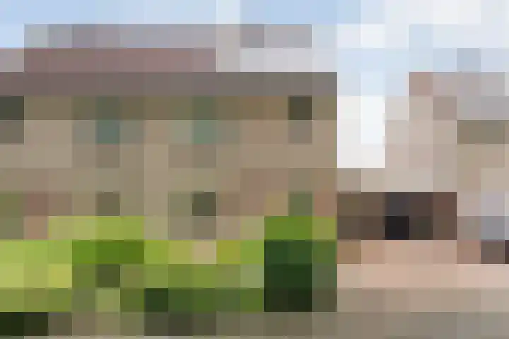 Floralaan 152 Hardenberg thumbnail 36