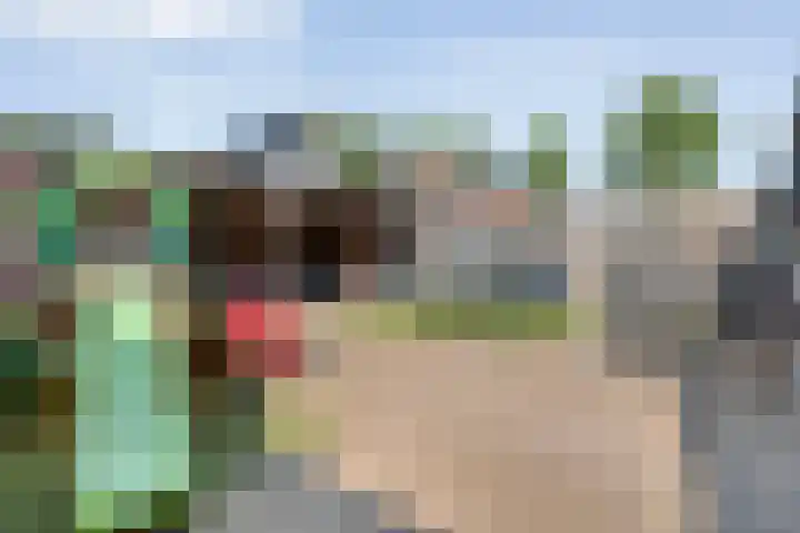 Floralaan 157 Hardenberg thumbnail 37