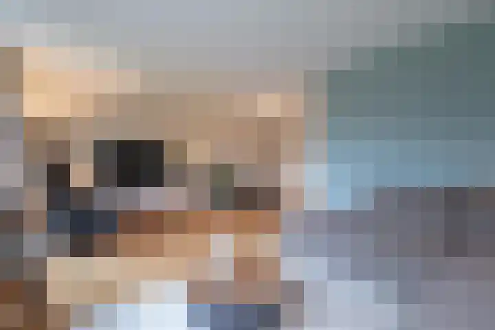 Floralaan 20 Bovensmilde thumbnail 11