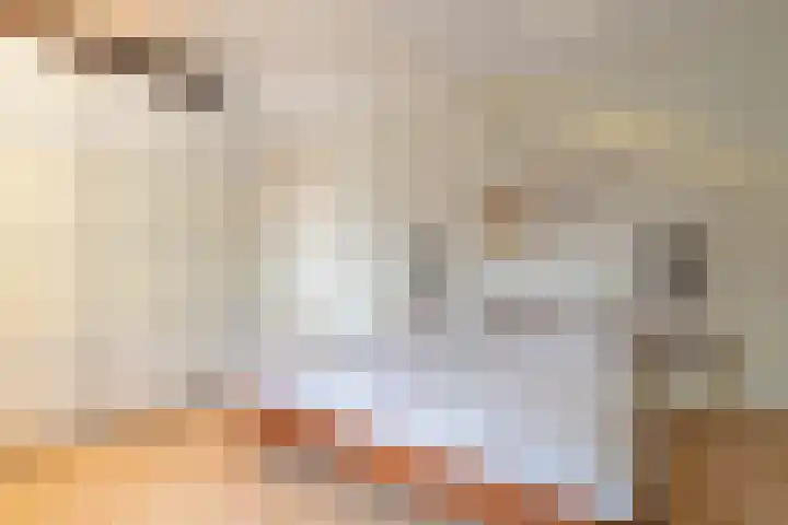 Floralaan 20 Bovensmilde thumbnail 25