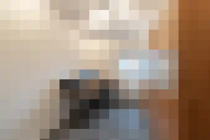 Floralaan 20 Bovensmilde thumbnail 33