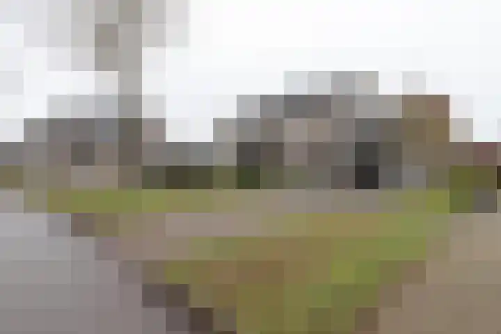 Floralaan 20 Bovensmilde thumbnail 4