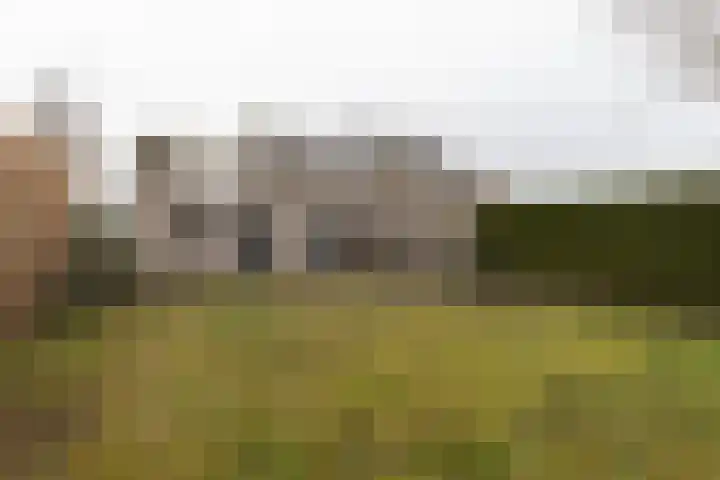 Floralaan 20 Bovensmilde thumbnail 46