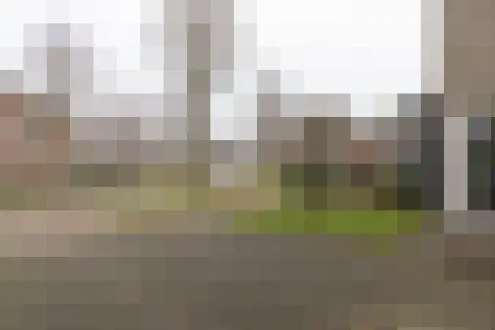 Floralaan 20 Bovensmilde thumbnail 48