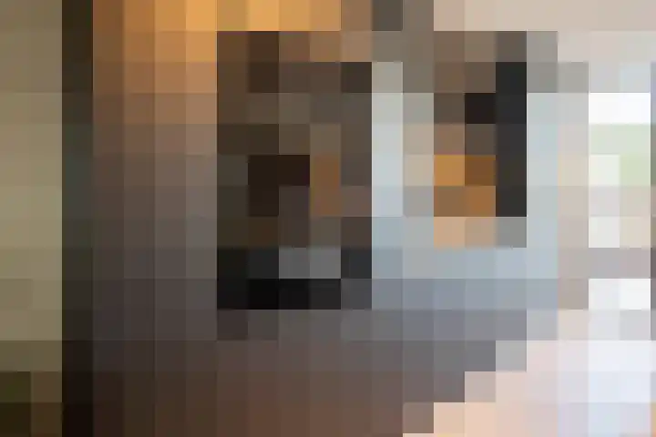 Floralaan 20 Rijnsburg thumbnail 10