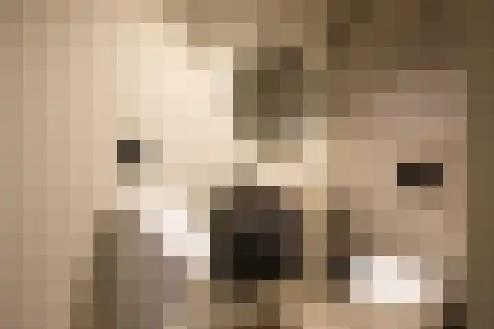 Floralaan 20 Rijnsburg thumbnail 18