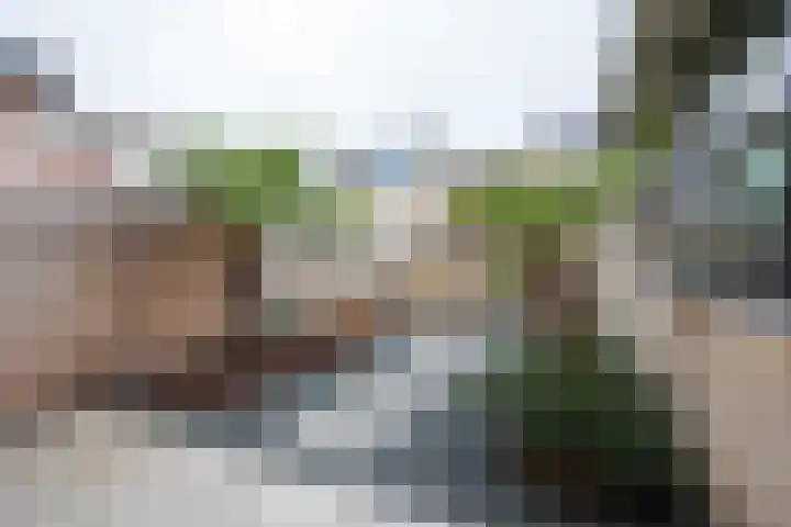 Floralaan 20 Rijnsburg thumbnail 39