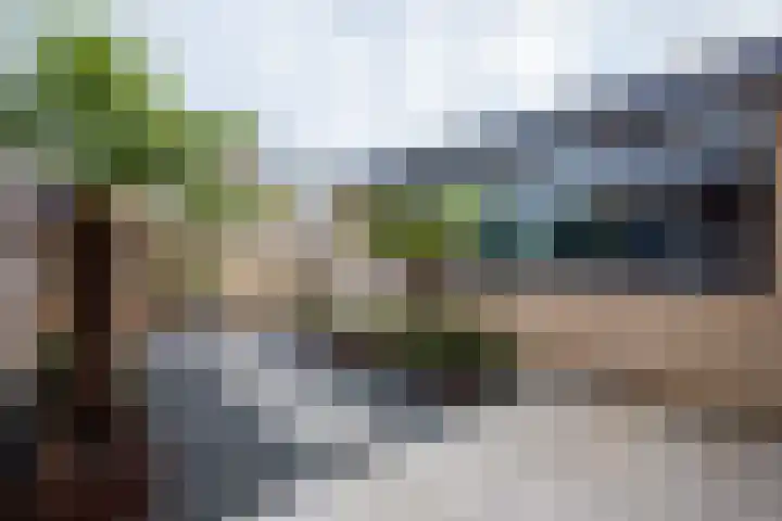 Floralaan 20 Rijnsburg thumbnail 40